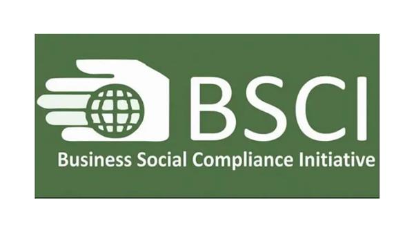 /Upload/Sertifika/Kucuk/2057-bsci-181626.jpg